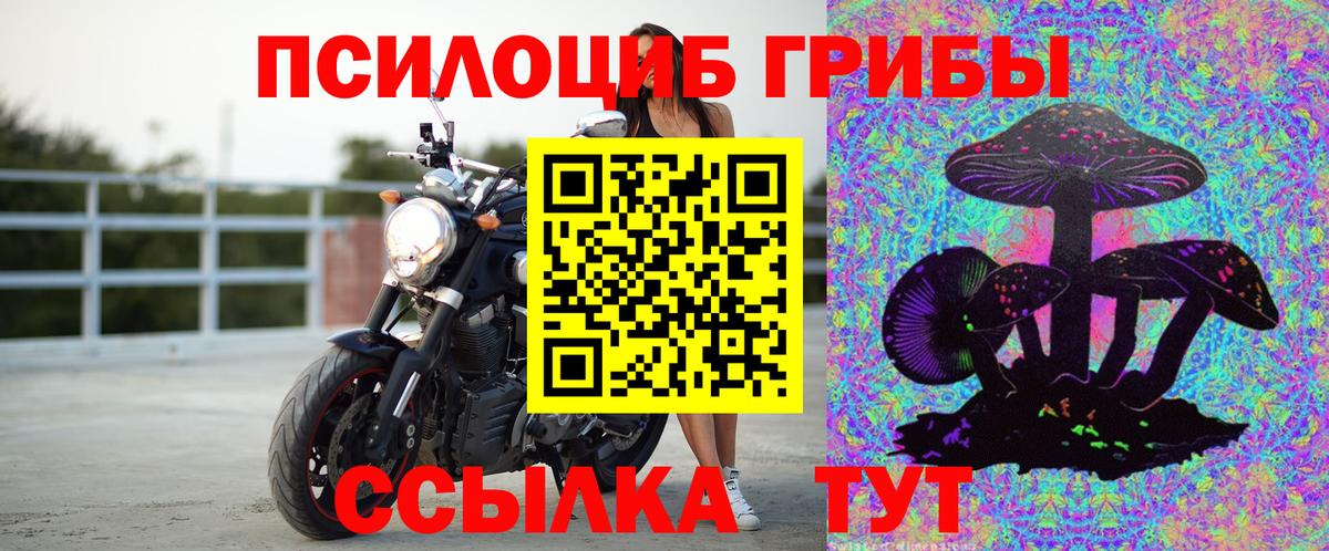 Галлюциногенные грибы мицелий Видное